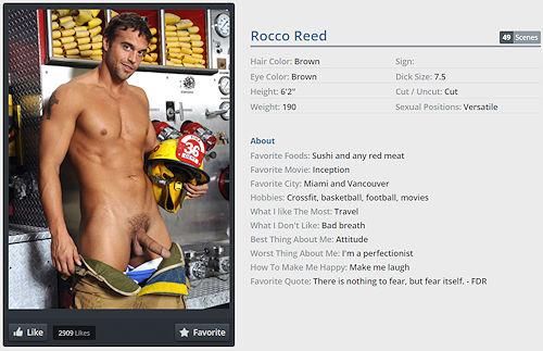 Roccoreed_commercialmodel_01