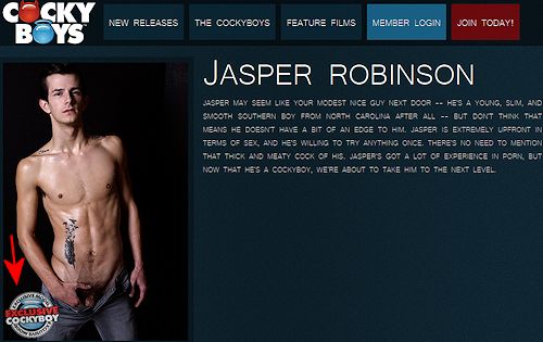 Jasper_robinson_notdonewith_gayporn_03